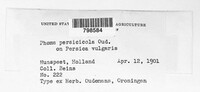 Image Associated With the Occurence